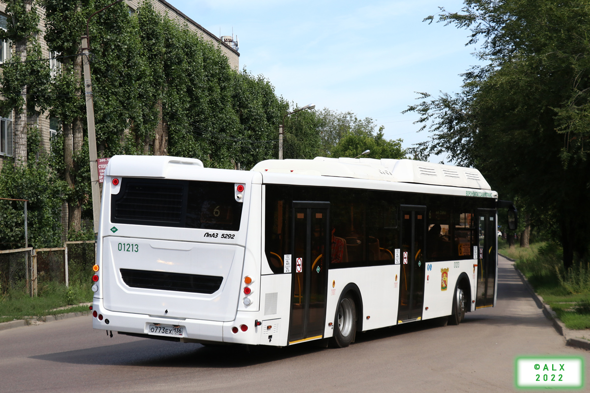 Воронежская область, ЛиАЗ-5292.67 (CNG) № 01213