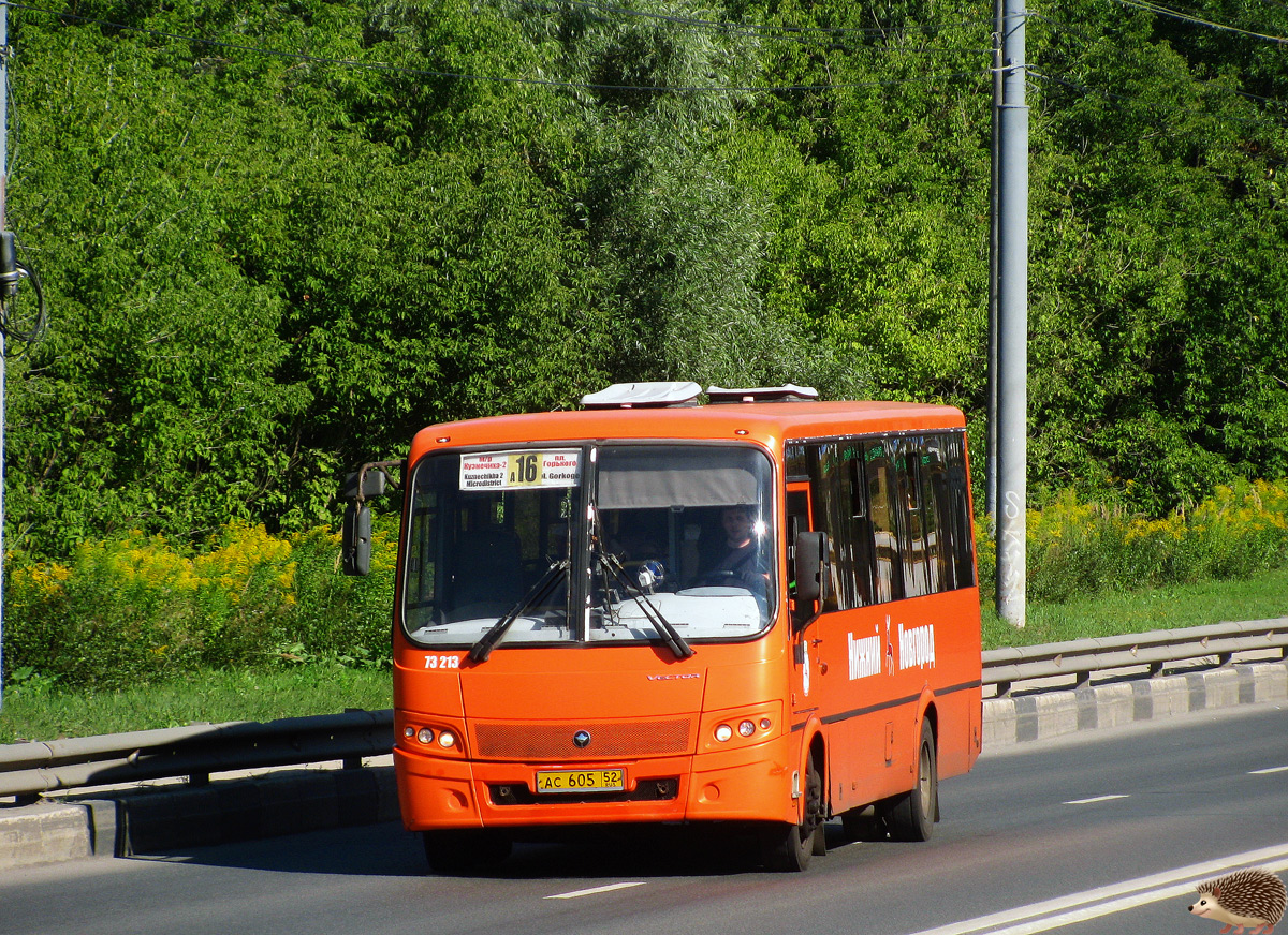 Нижегородская область, ПАЗ-320414-05 "Вектор" (1-2) № 73213