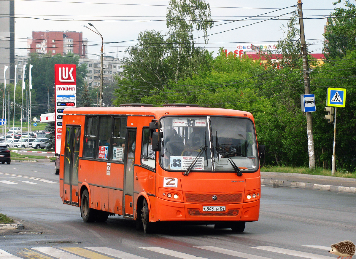 Нижегородская область, ПАЗ-320414-05 "Вектор" № О 843 ТМ 152