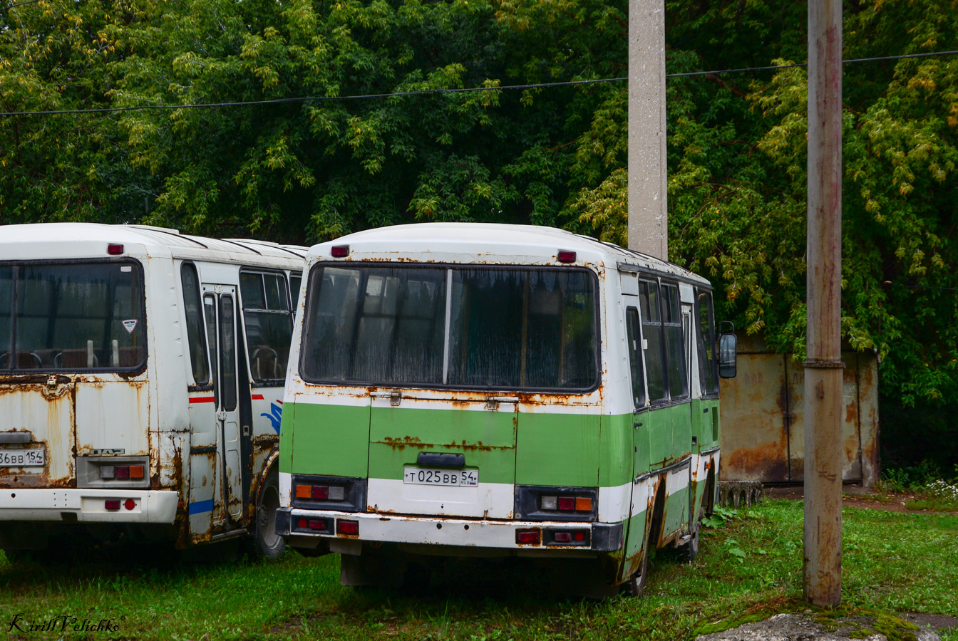 Новосибирская область, ПАЗ-3205-110 № Т 025 ВВ 54