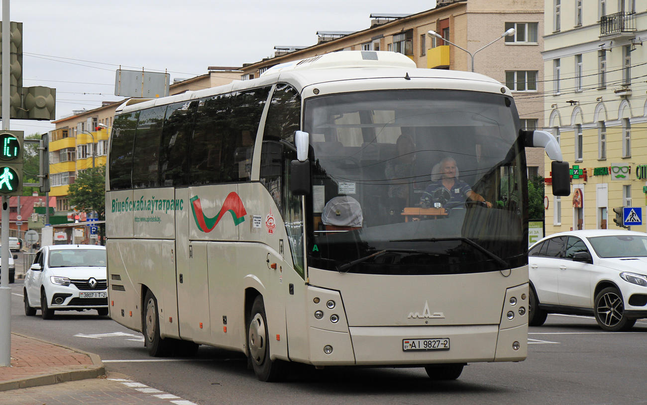 Vitebsk region, MAZ-251.062 № 022845