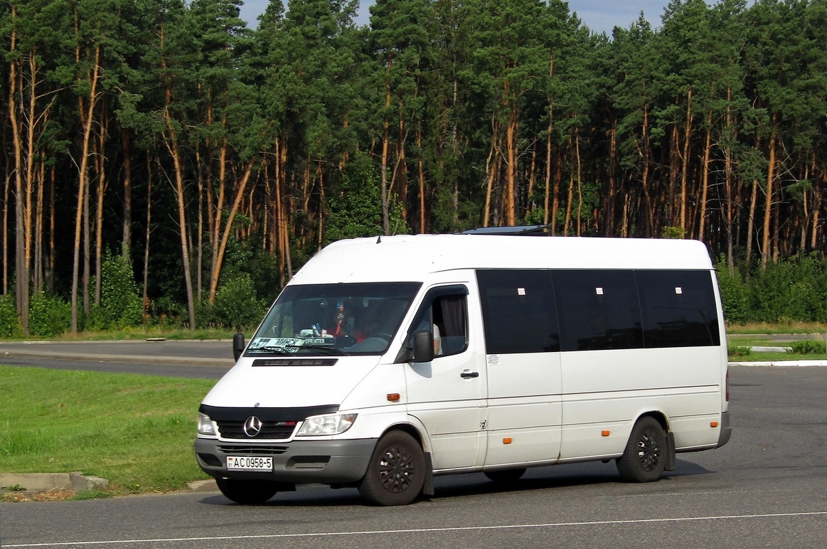 Минская область, Mercedes-Benz Sprinter W903 311CDI № АС 0958-5