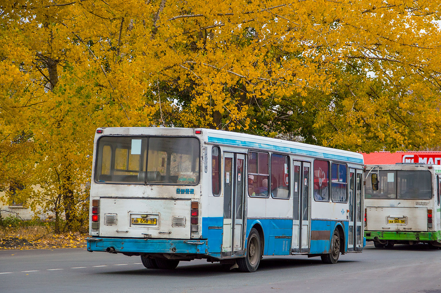 Пензенская область, ЛиАЗ-5256.00 № 304