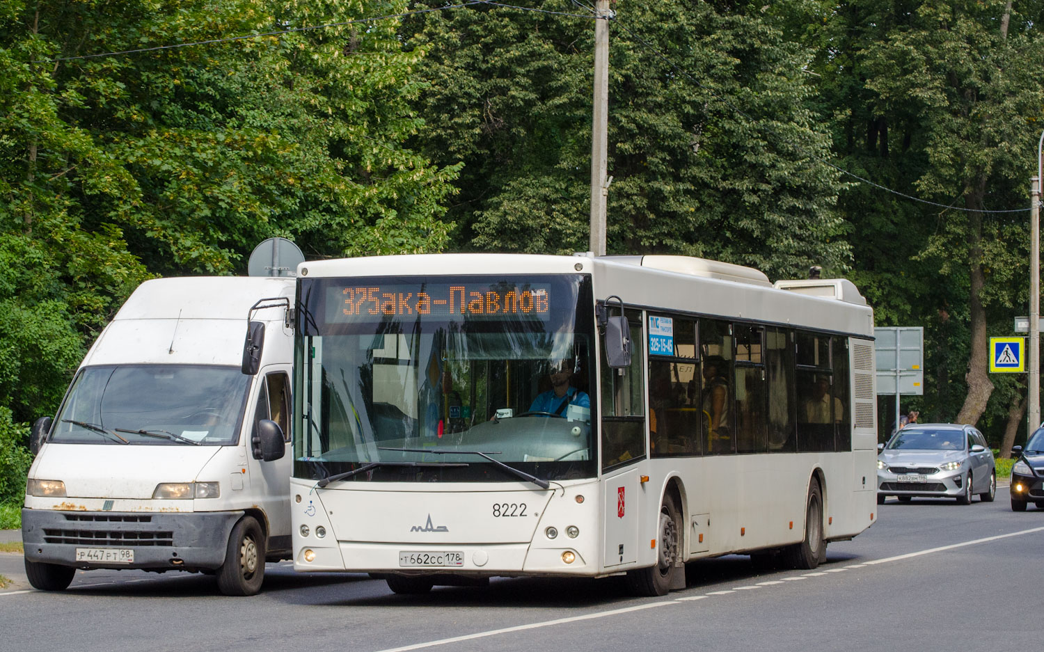 Санкт-Петербург, МАЗ-203.085 № 8222