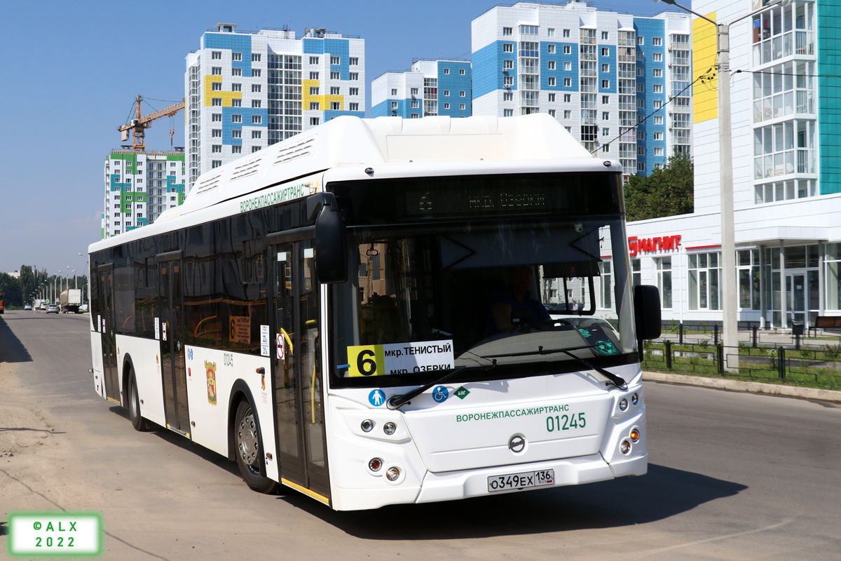 Воронежская область, ЛиАЗ-5292.67 (CNG) № 01245