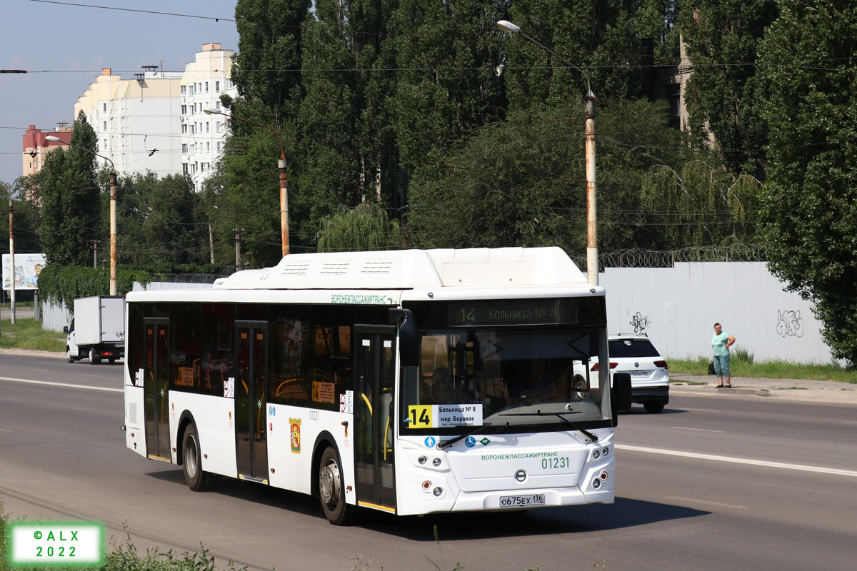 Воронежская область, ЛиАЗ-5292.67 (CNG) № 01231