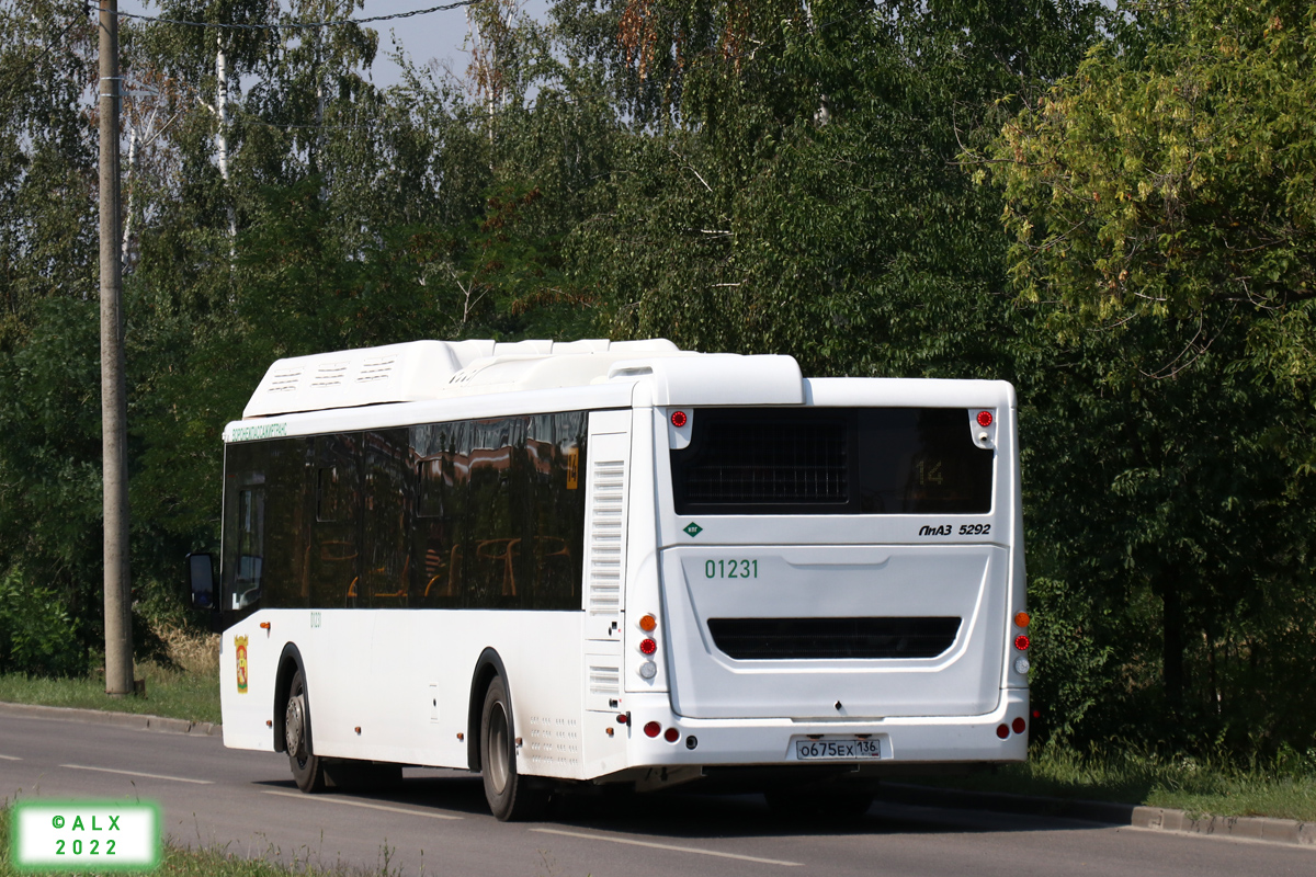 Воронежская область, ЛиАЗ-5292.67 (CNG) № 01231