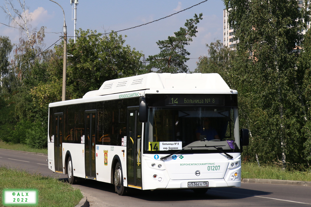 Воронежская область, ЛиАЗ-5292.67 (CNG) № 01207