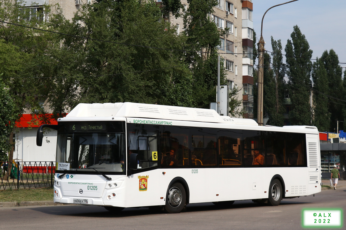 Воронежская область, ЛиАЗ-5292.67 (CNG) № 01205