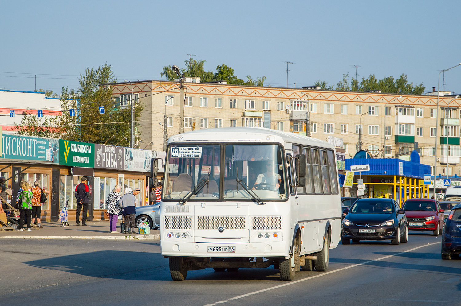 Пензенская область, ПАЗ-4234-05 № Р 695 НР 58