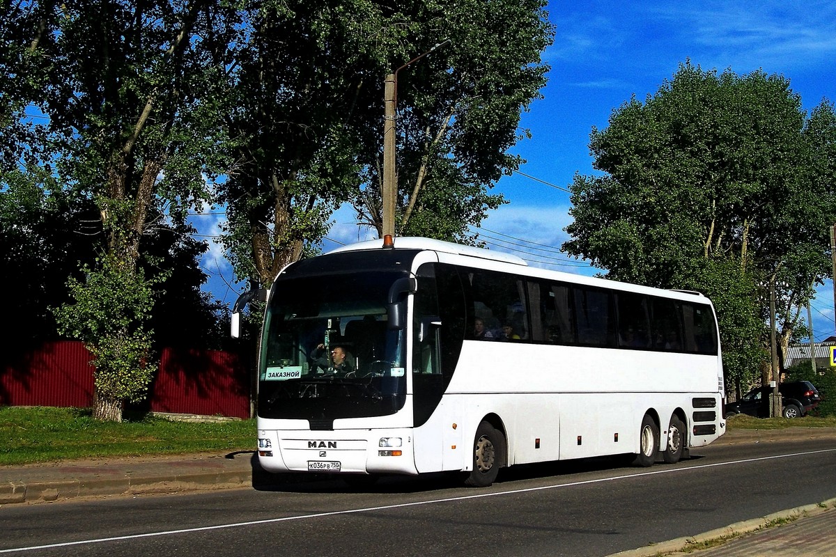 Орловская область, MAN R08 Lion's Coach L / Top Coach № К 036 РВ 750