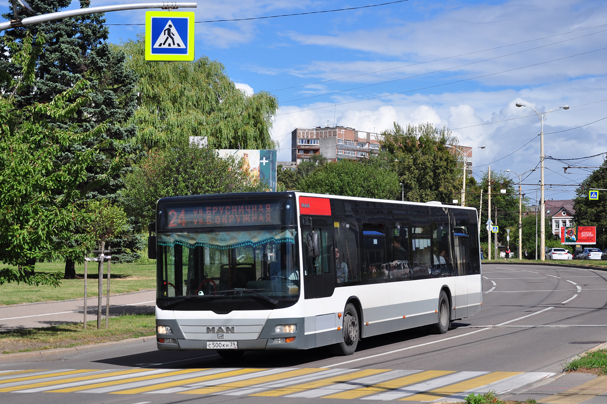 Калининградская область, MAN A21 Lion's City NL273 № С 500 КН 39