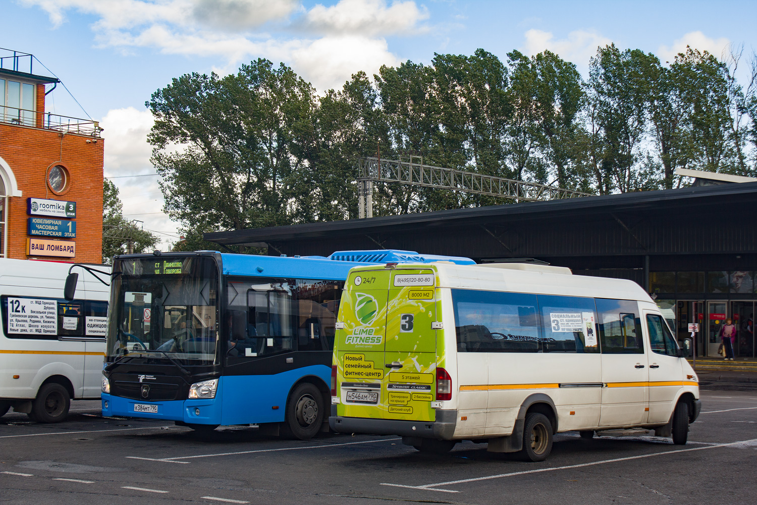 Московская область, Луидор-223237 (MB Sprinter Classic) № Н 546 АМ 790