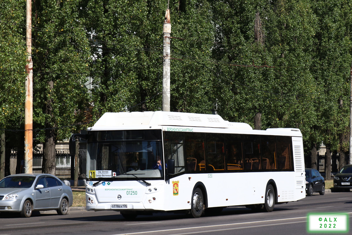 Воронежская область, ЛиАЗ-5292.67 (CNG) № 01250