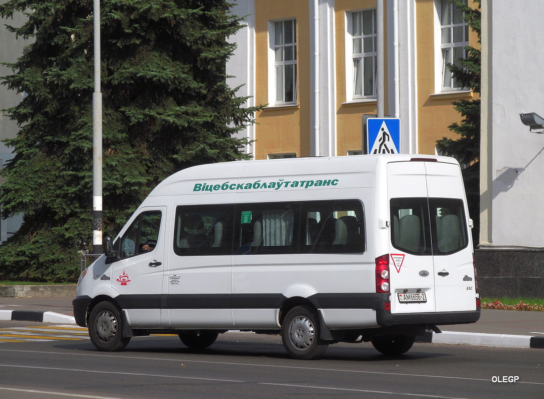 Витебская область, МАЗ-281.040 № АМ 6656-2