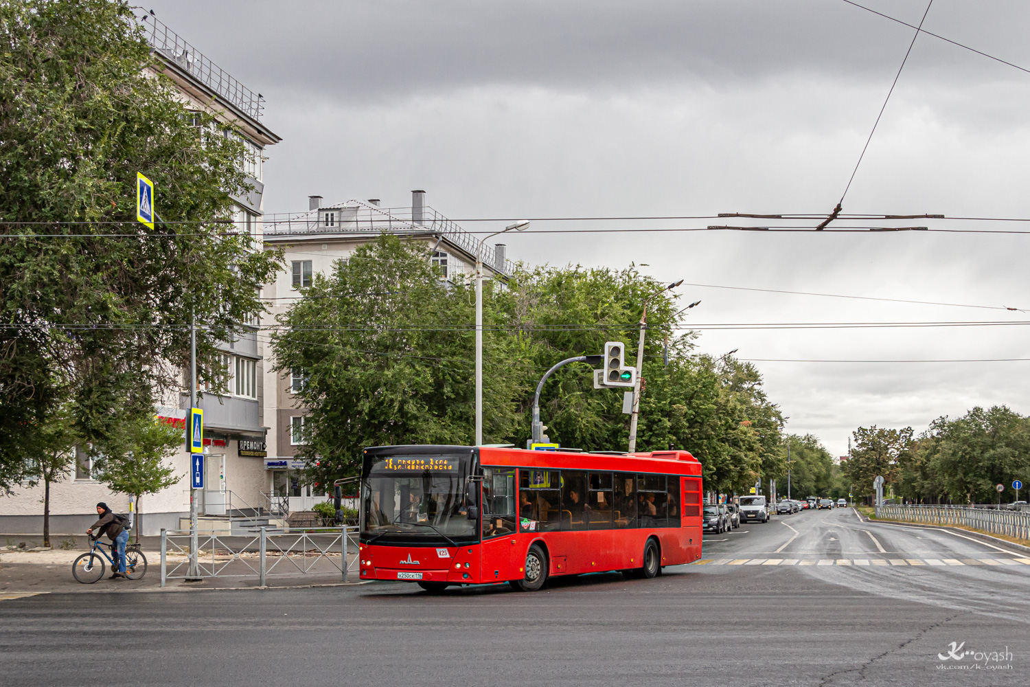 Татарстан, МАЗ-203.069 № 425