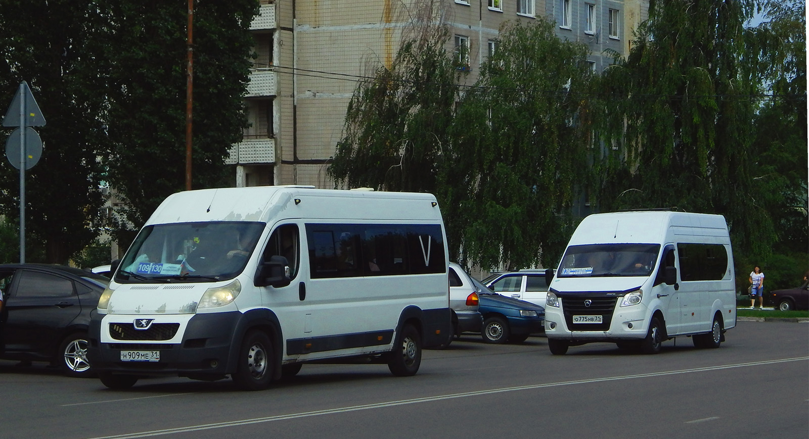 Белгородская область, IRITO Boxer L4H2 (Z8P) № Н 909 МЕ 31