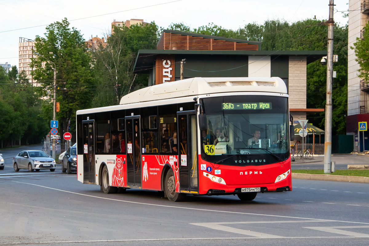Пермский край, Volgabus-5270.G2 (CNG) № М 975 РМ 159