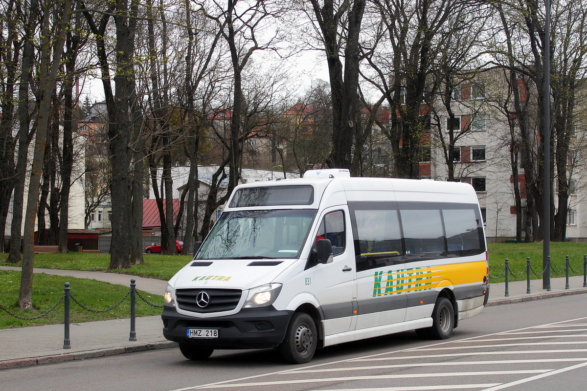 Lietuva, Altas Cityline Nr. 831