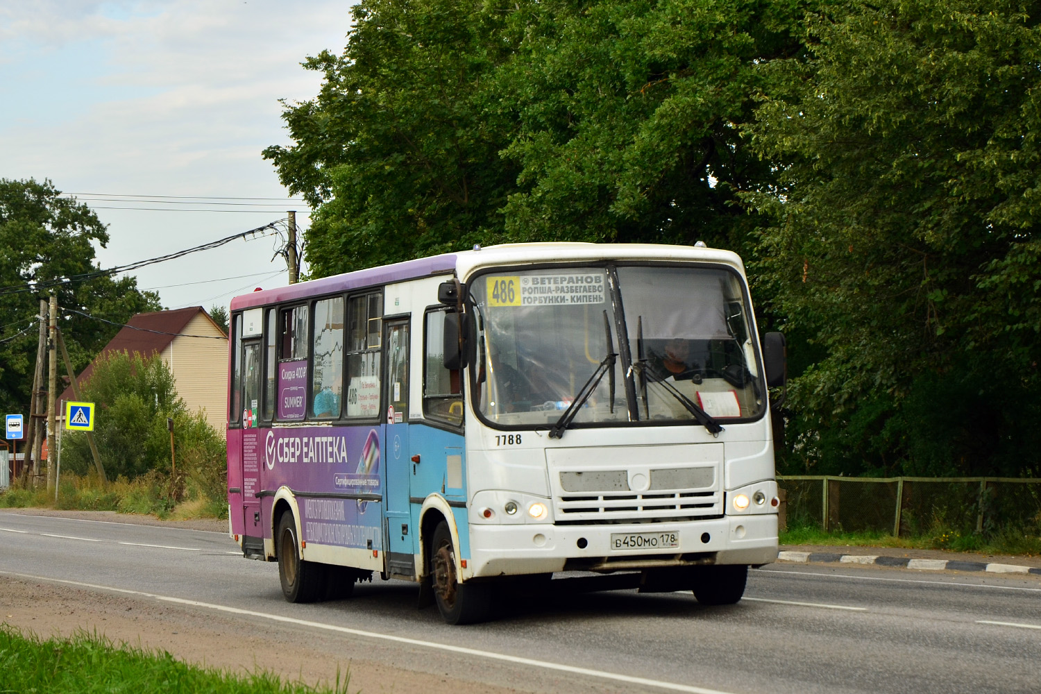 Ленинградская область, ПАЗ-320412-05 № 7788