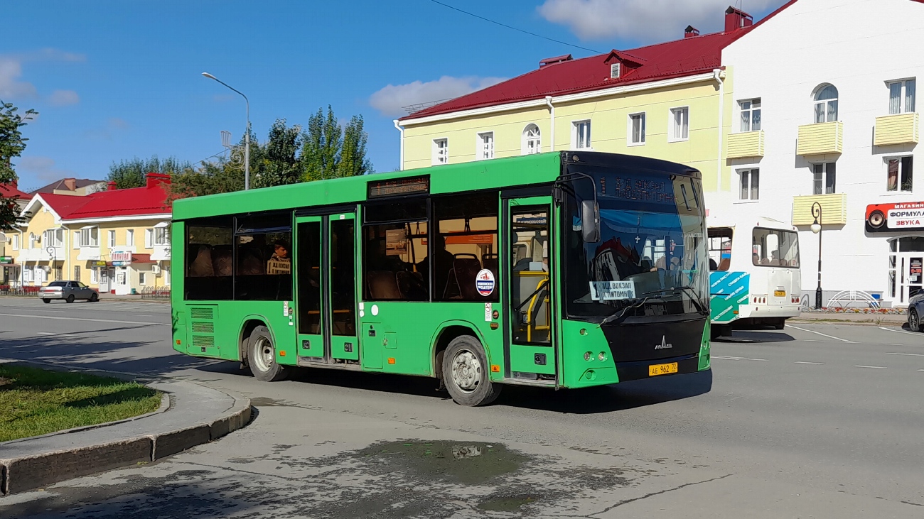 Тюменская область, МАЗ-206.068 № АЕ 962 72