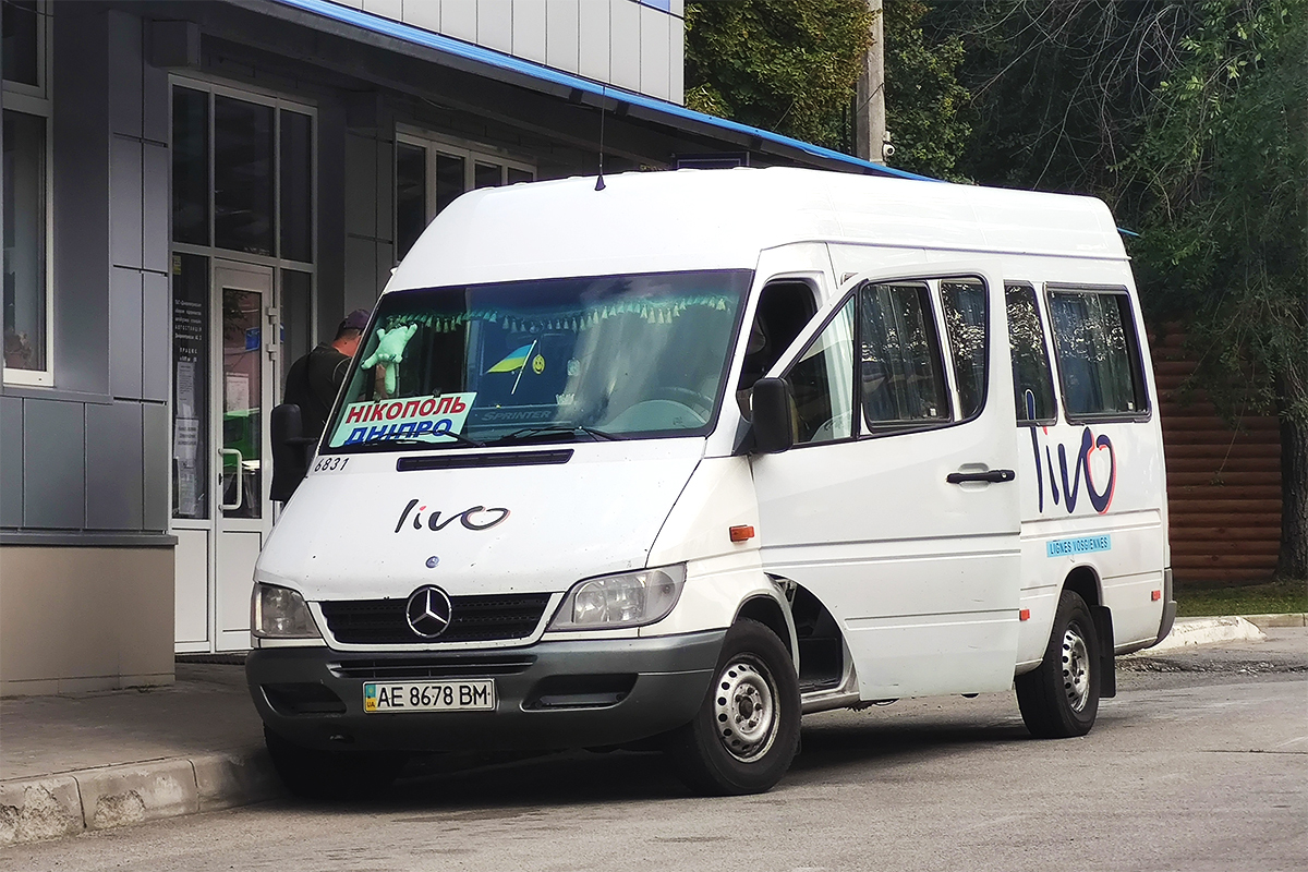 Днепропетровская область, Mercedes-Benz Sprinter W903 311CDI № AE 8678 BM