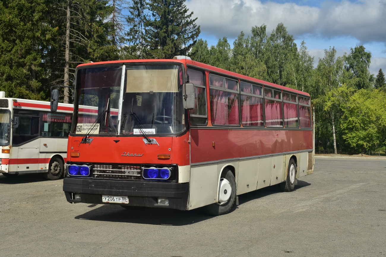 Свердловская область, Ikarus 256.74 № У 206 ТР 86