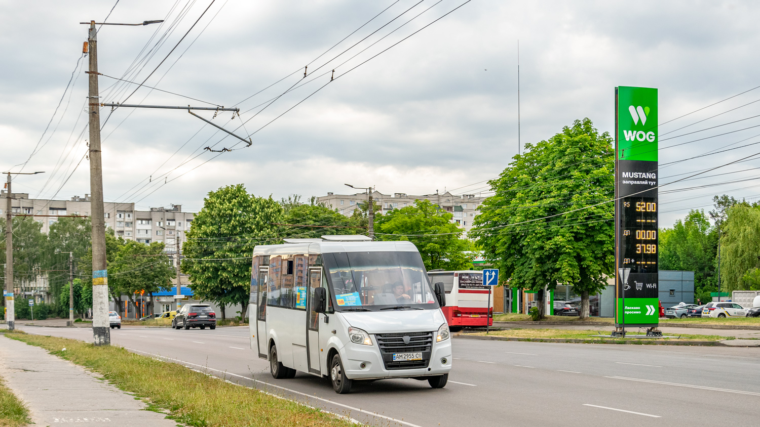 Житомирская область, Рута 25А Нова № AM 2955 CI