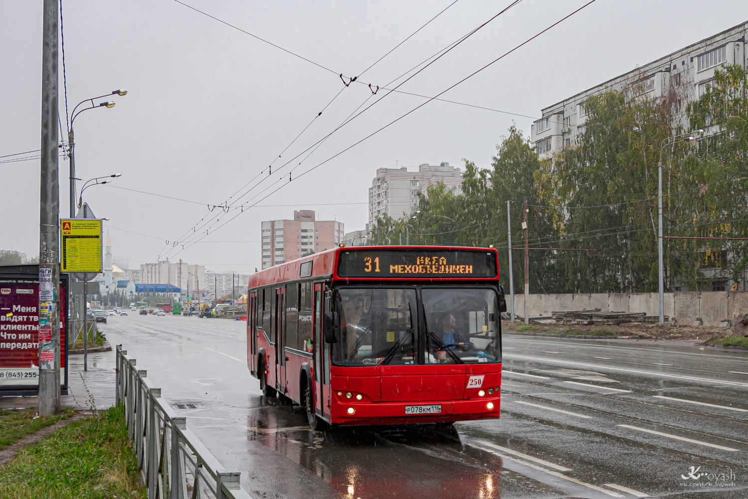 Татарстан, МАЗ-103.465 № 250