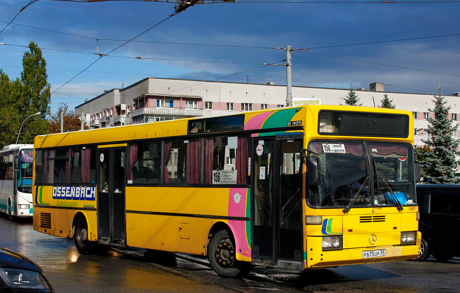 Калининградская область, Mercedes-Benz O405 № Р 675 ОР 39