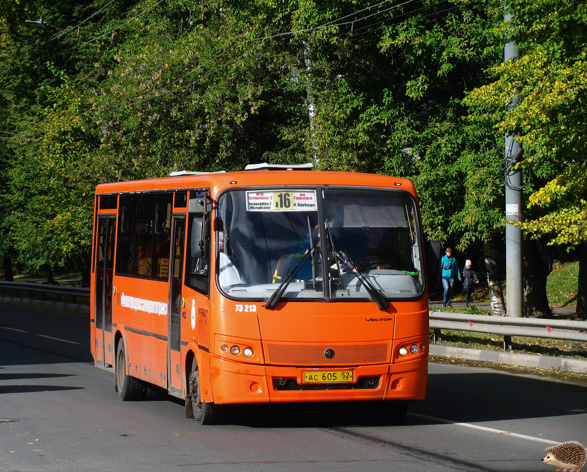 Нижегородская область, ПАЗ-320414-05 "Вектор" (1-2) № 73213