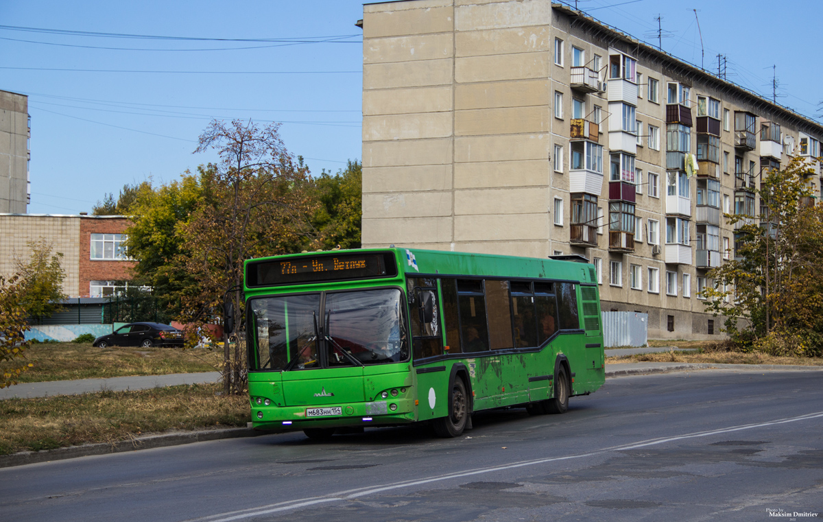 Новосибирская область, МАЗ-103.465 № М 683 НН 154