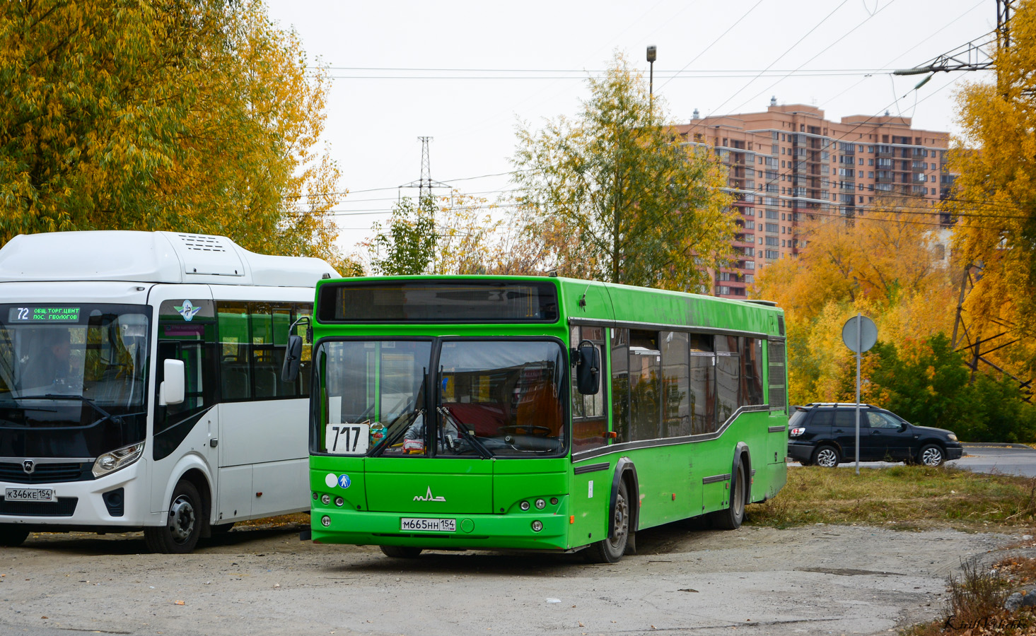 Новосибирская область, МАЗ-103.465 № 4146