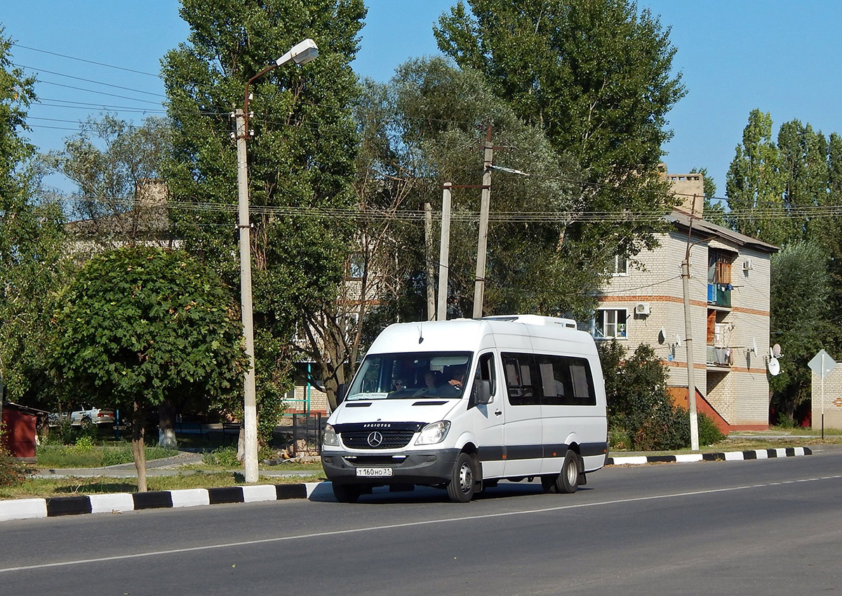 Белгородская область, Луидор-223602 (MB Sprinter) № Т 160 НО 31
