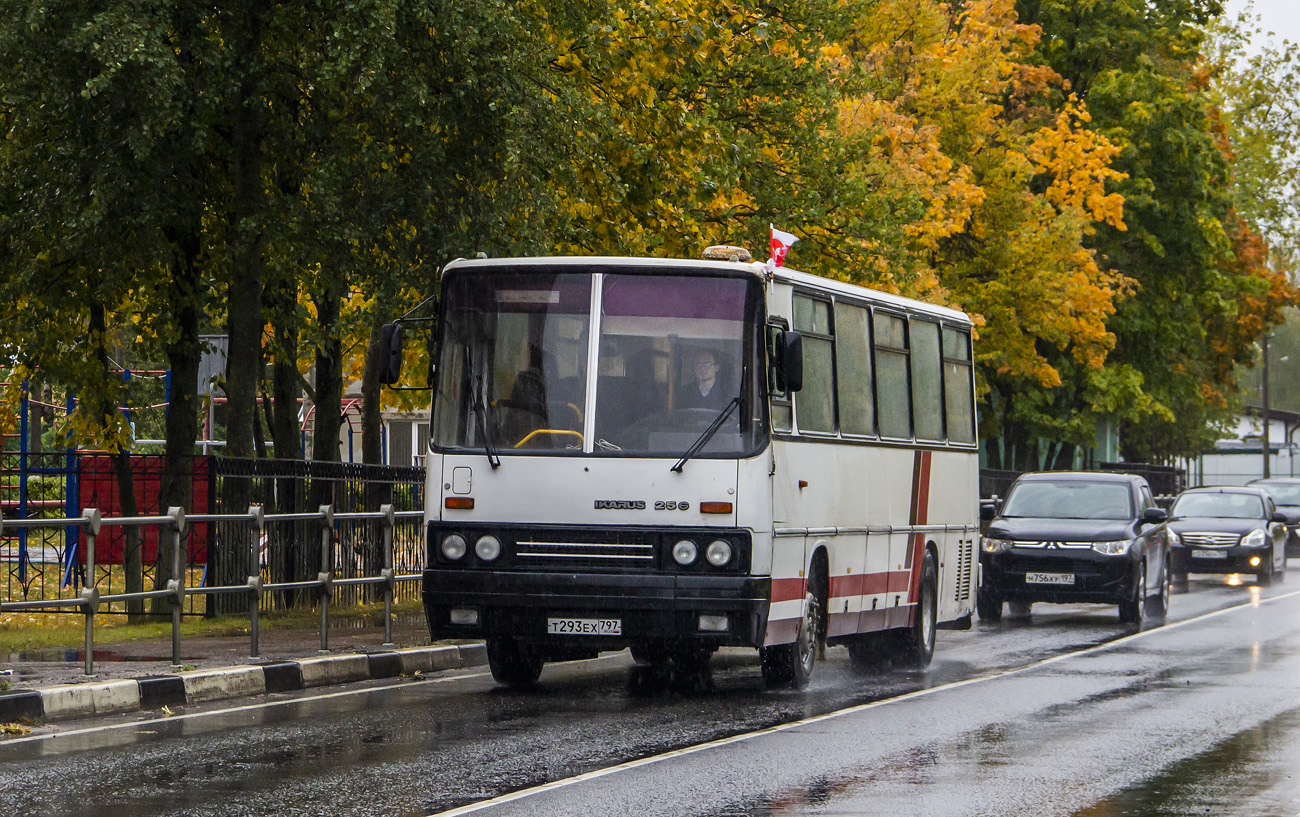 Москва, Ikarus 256.21H № Т 293 ЕХ 797