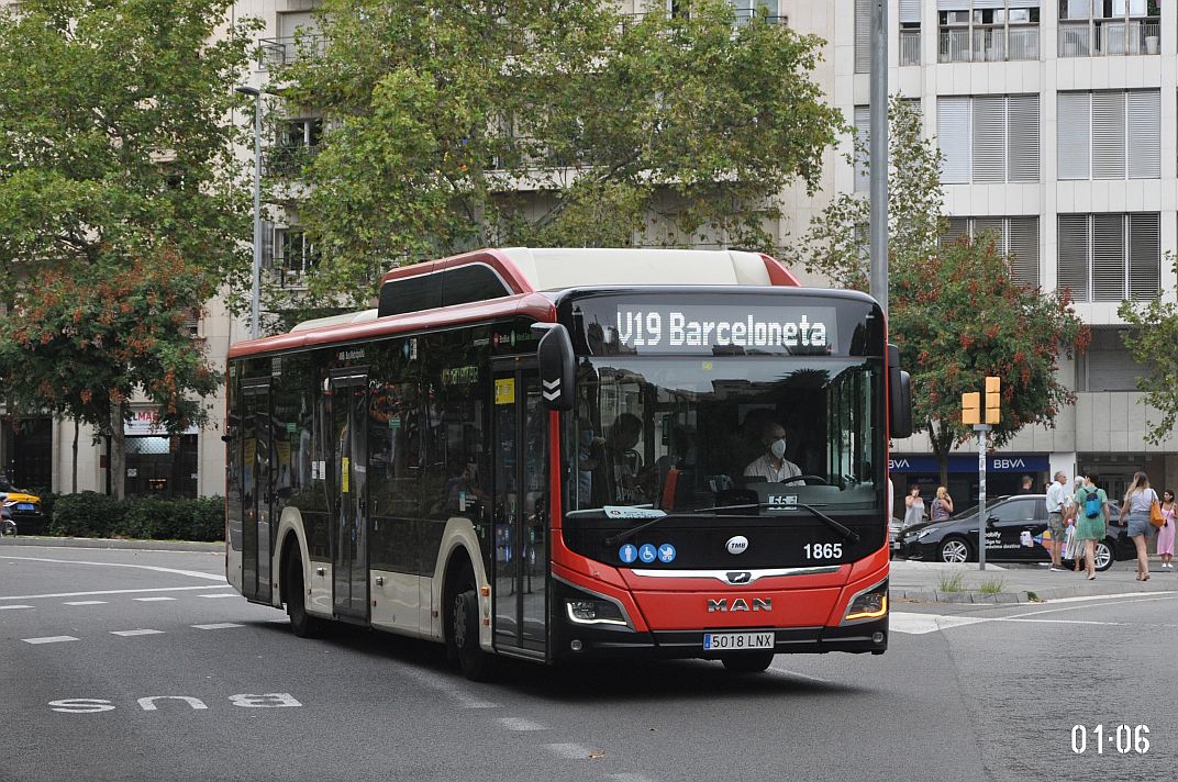Испания, MAN 12C Lion's City 12 G NL320 EfficientHybrid № 1865