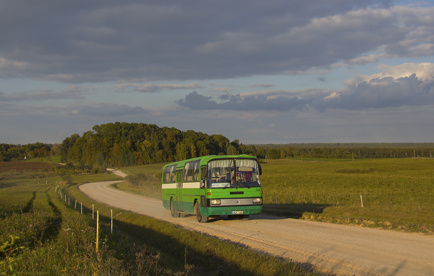 Литва, Mercedes-Benz O303-11ÜHE № 423