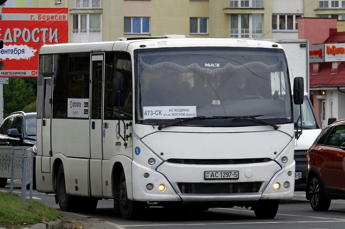 Минская область, МАЗ-241.030 № 11815 Минская область, МАЗ-241.030 № 11815