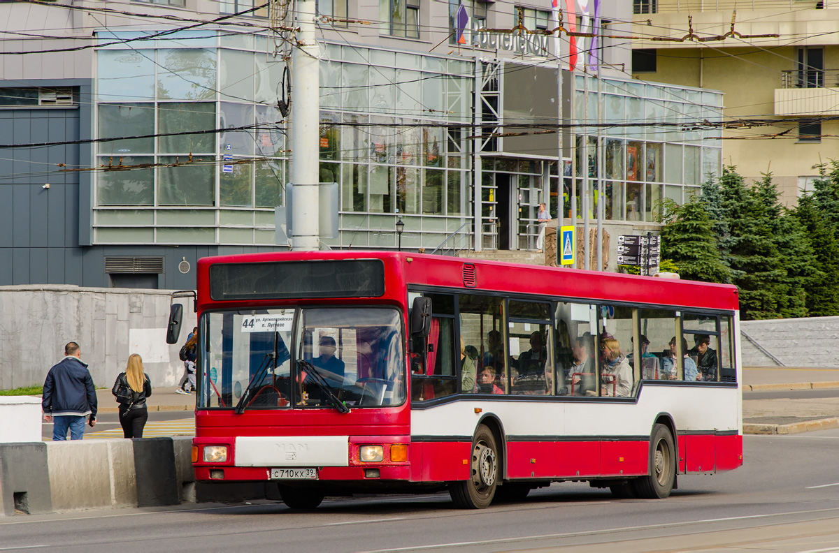 Калининградская область, MAN A10 NL202 № С 710 КХ 39