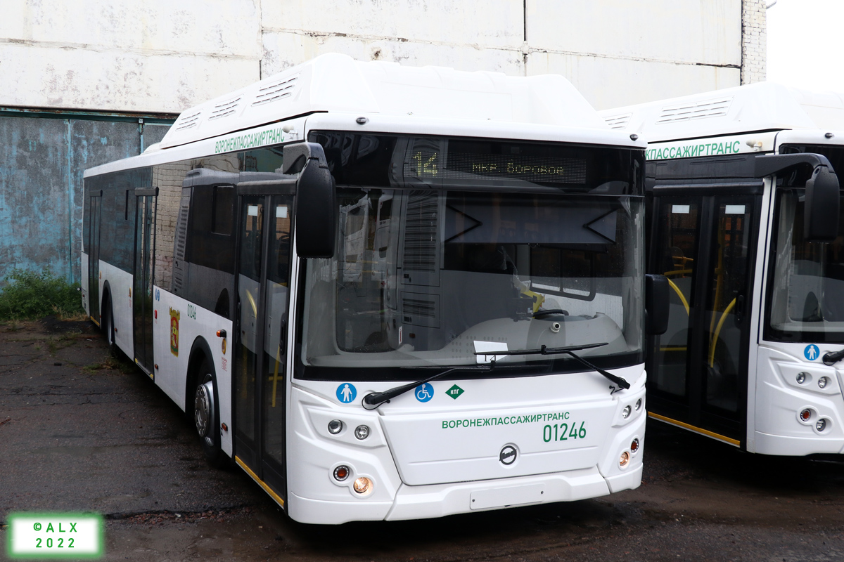 Воронежская область, ЛиАЗ-5292.67 (CNG) № 01246