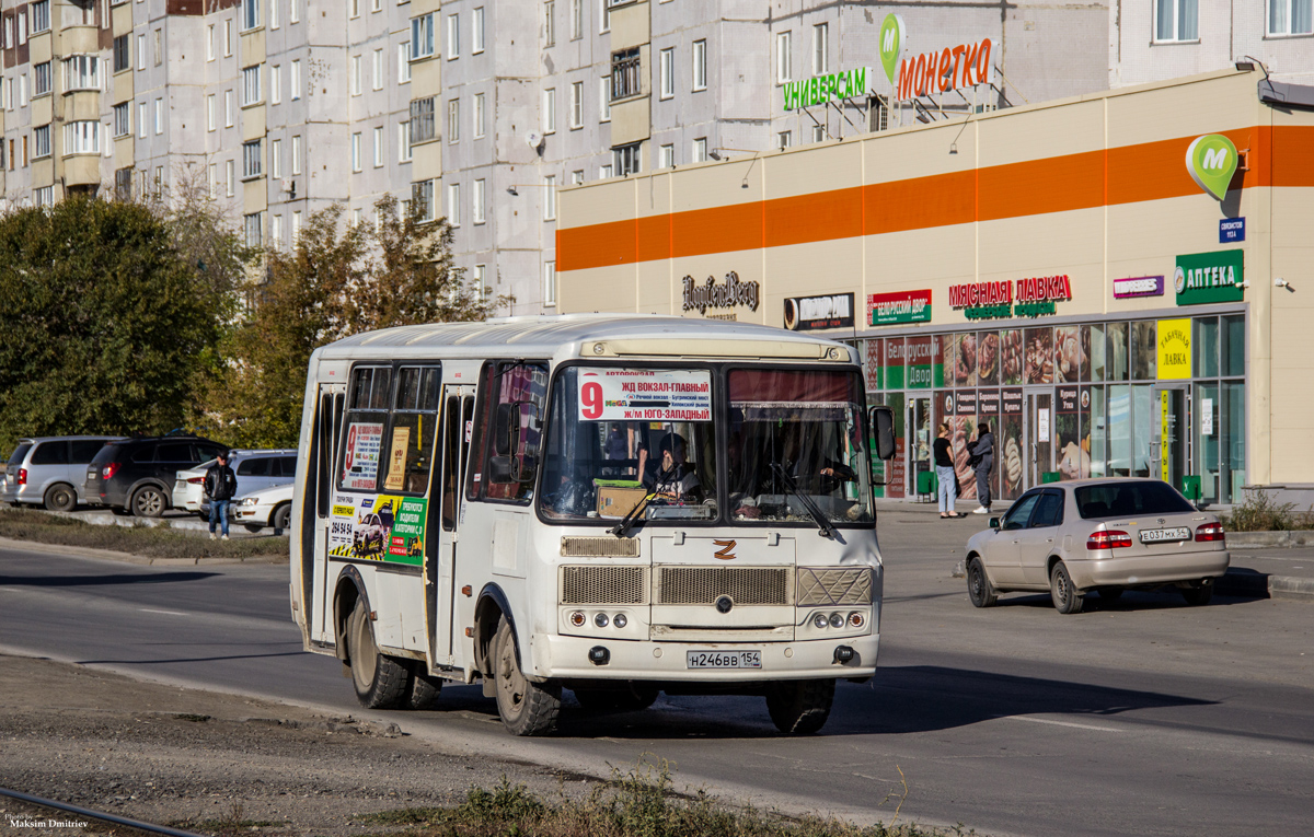 Новосибирская область, ПАЗ-32054 № Н 246 ВВ 154