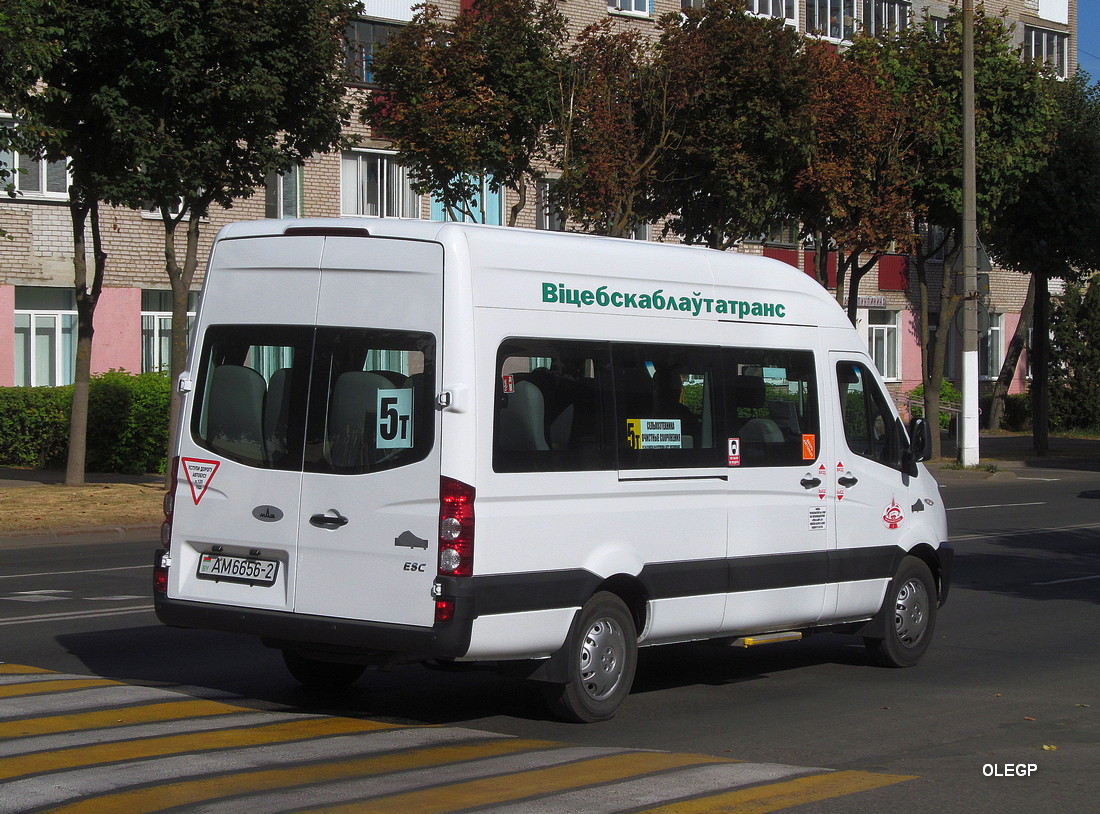 Витебская область, МАЗ-281.040 № АМ 6656-2