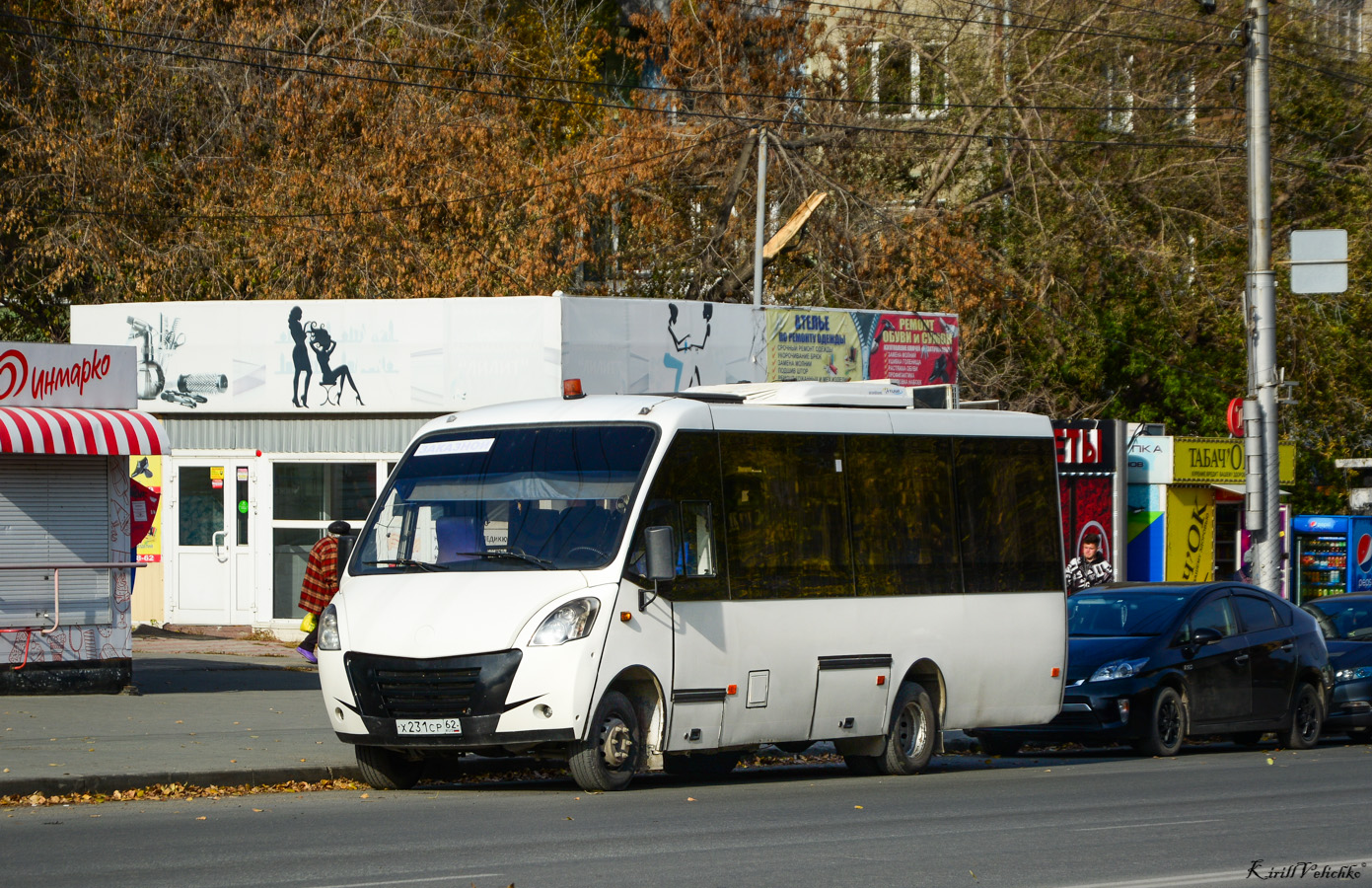 Новосибирская область, Неман-420224-11 № Х 231 СР 62