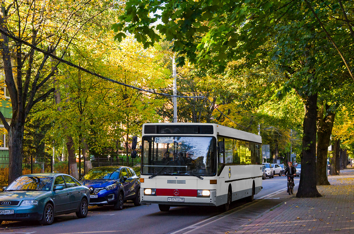 Калининградская область, Mercedes-Benz O407 № 401