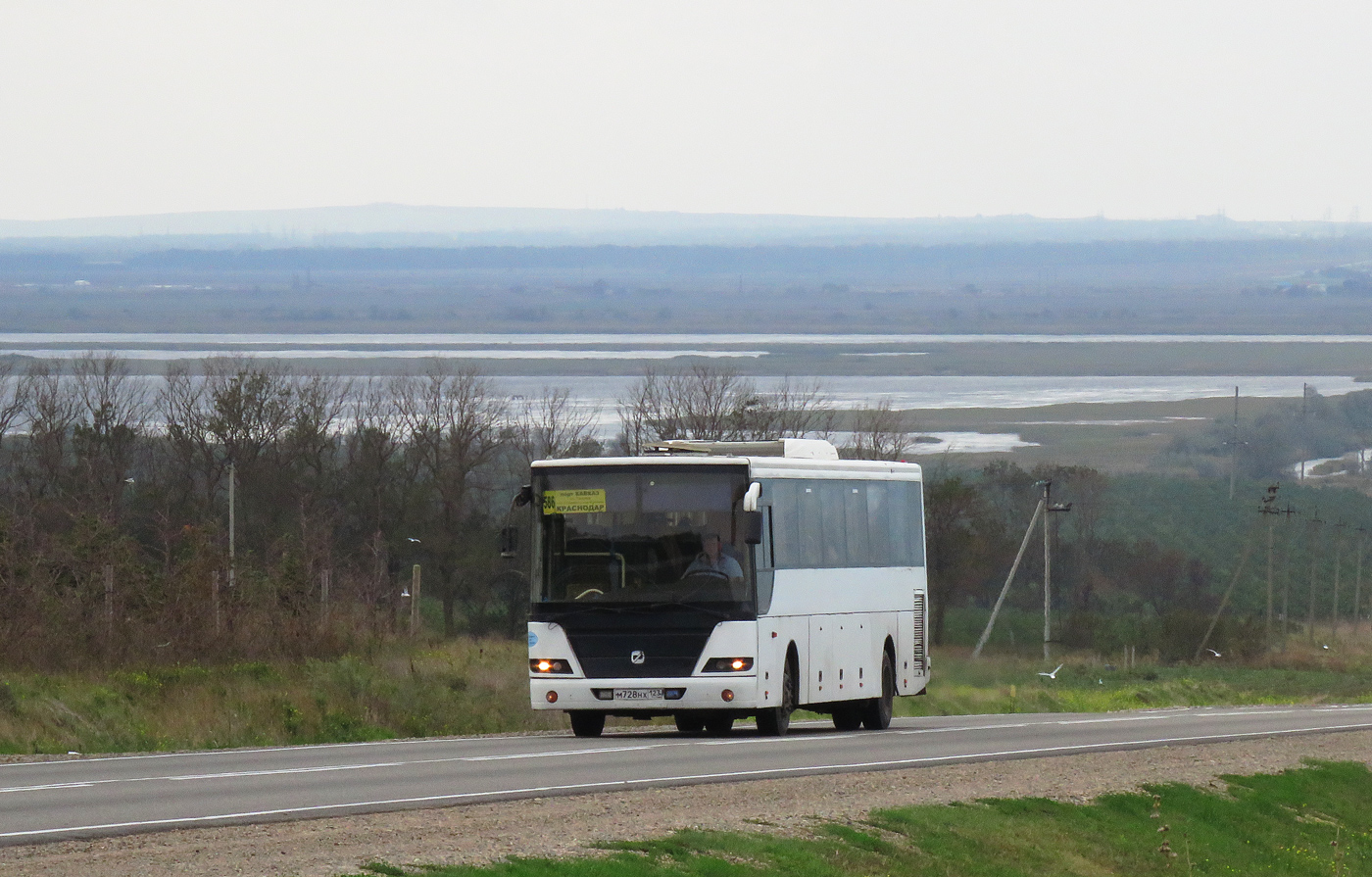 Краснодарский край, ГолАЗ-5251 "Вояж" № М 728 НХ 123