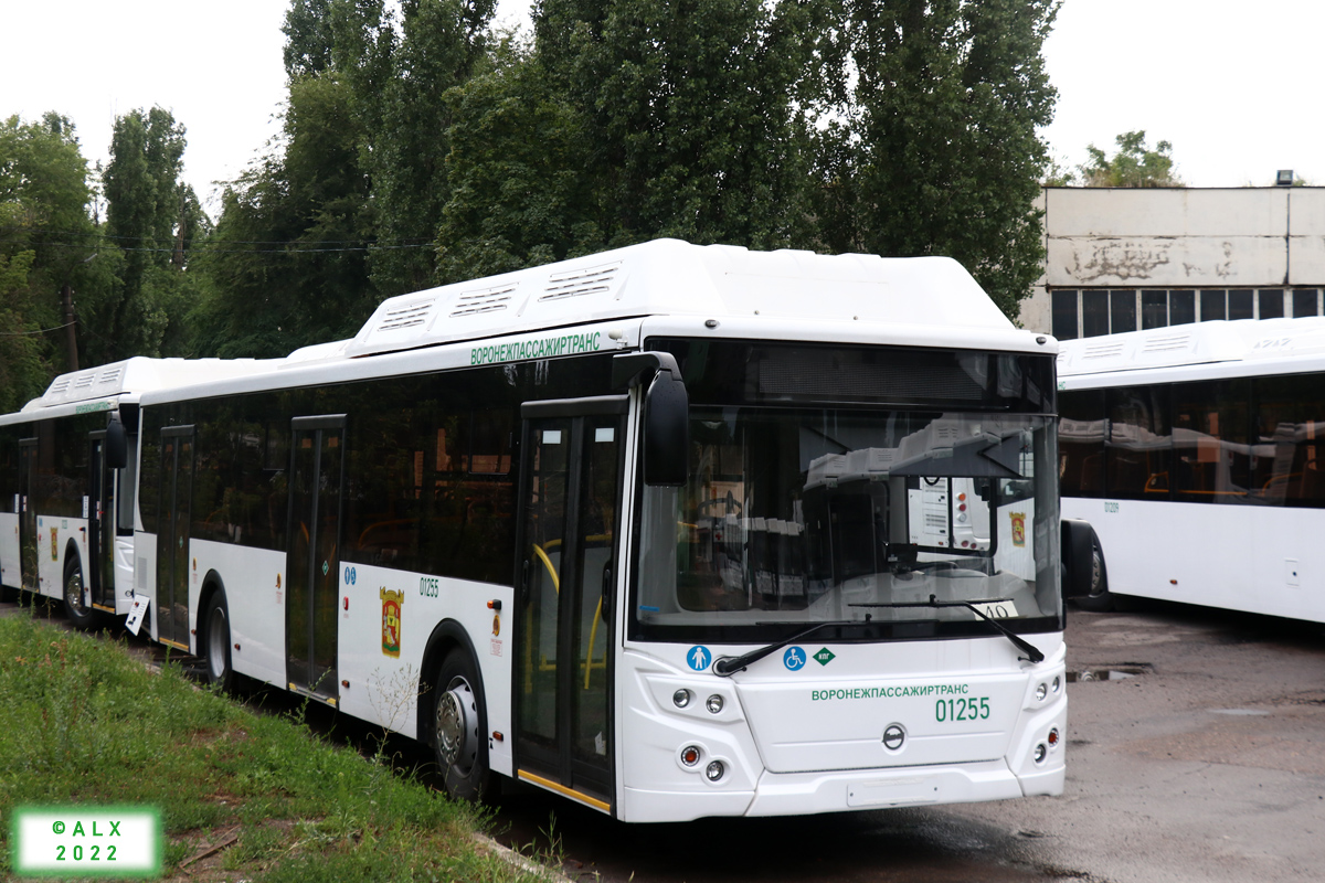 Воронежская область, ЛиАЗ-5292.67 (CNG) № 01255