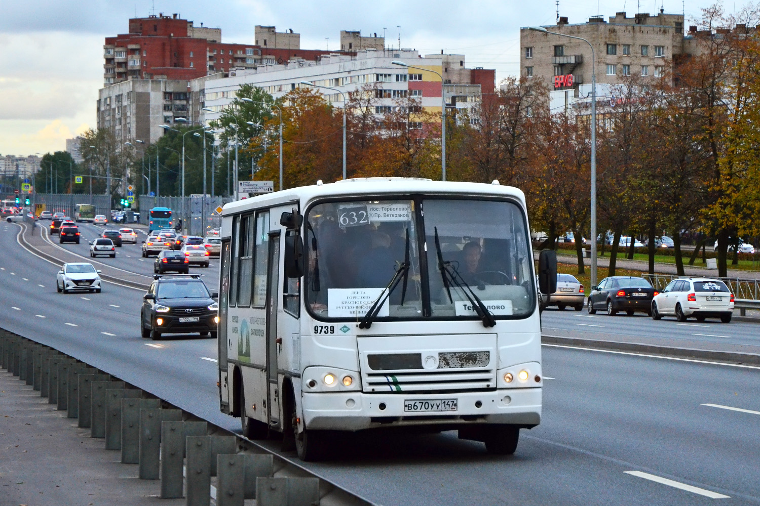 Ленинградская область, ПАЗ-320302-11 № 9739