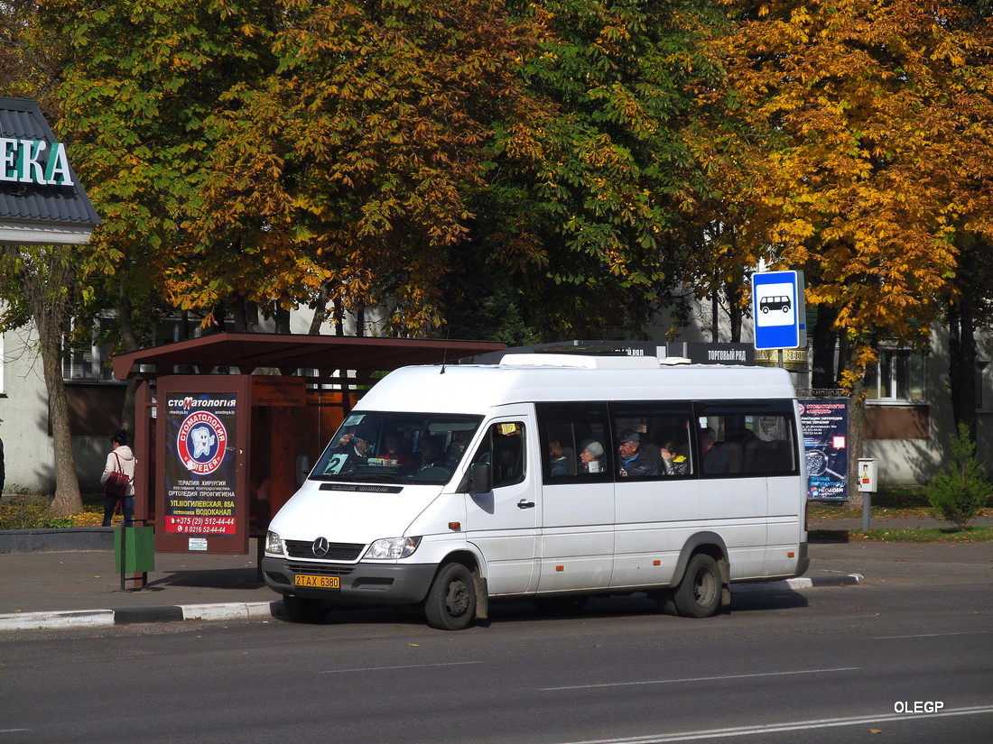 Витебская область, Луидор-223237 (MB Sprinter Classic) № 2 ТАХ 6380