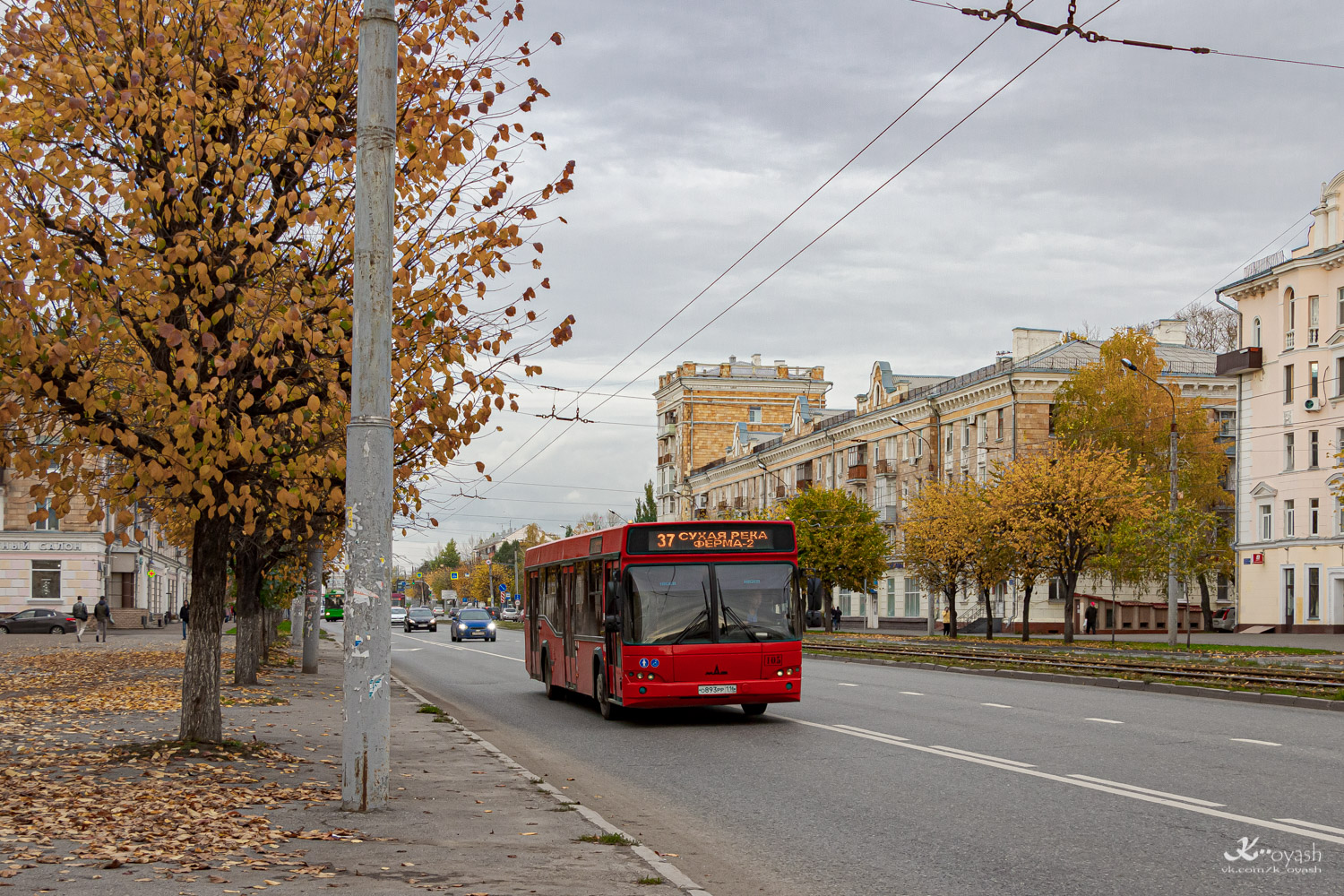 Татарстан, МАЗ-103.465 № 105