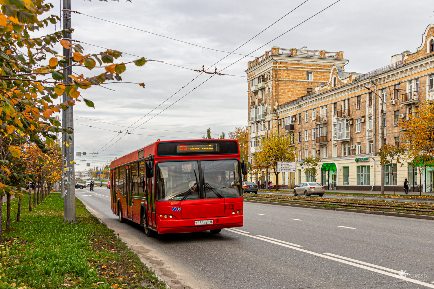 Татарстан, МАЗ-103.465 № 132